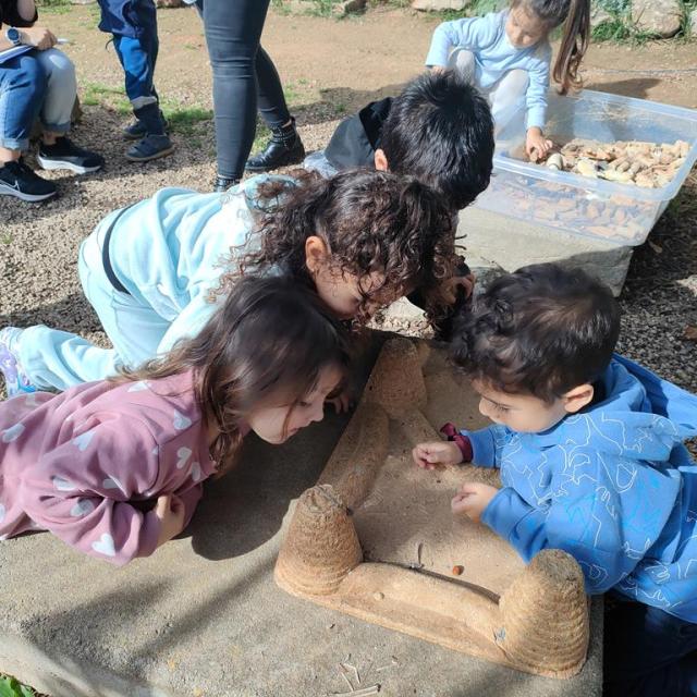 Espai Infantil Hort I Animals 4