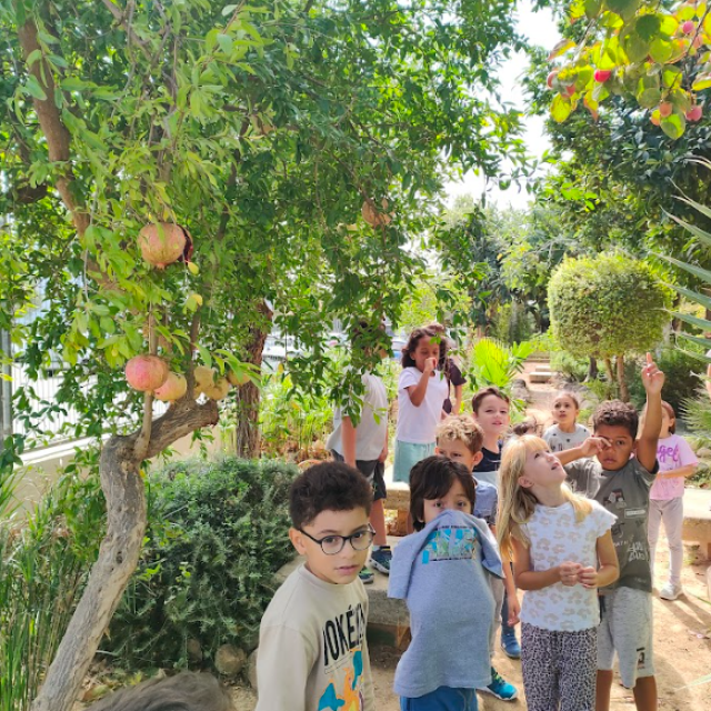 Taller Hort I Cuina 3