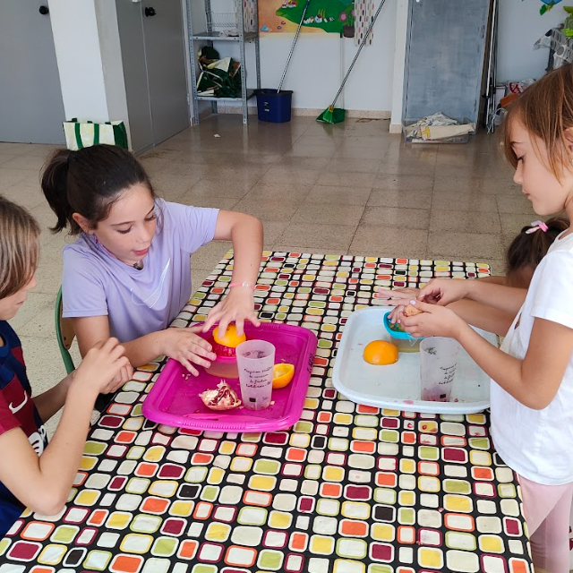 Taller Hort I Cuina 4